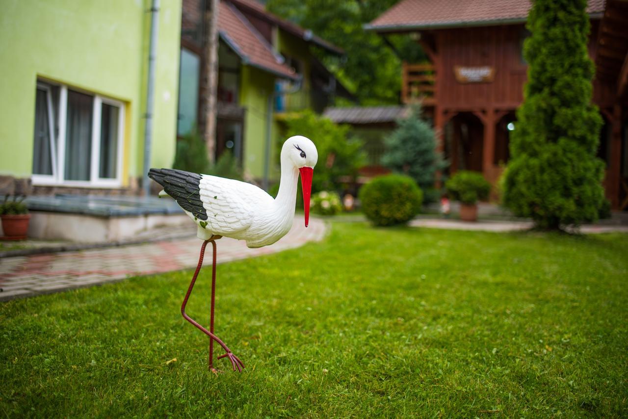 Pensiunea George Gura Rîului Esterno foto